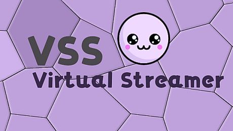 VSS - Virtual Streaming Software Game