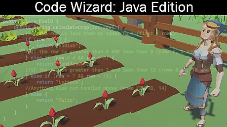 Code Wizard: Java Edition Game