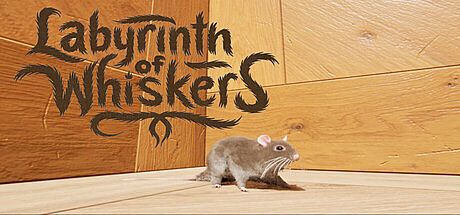 Labyrinth of Whiskers Game