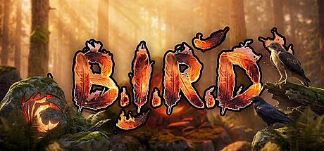 B.I.R.D. Game