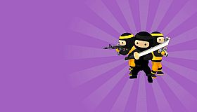 Sector Ninja