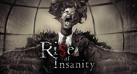 Rise of Insanity Game