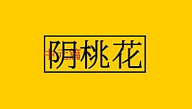 阴桃花（中元篇）