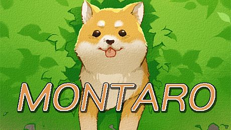 Montaro Game