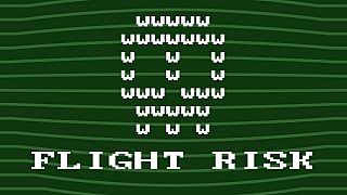 Flight Risk Game
