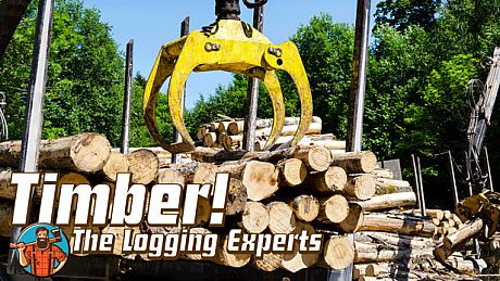 Timber! The Logging Experts Game