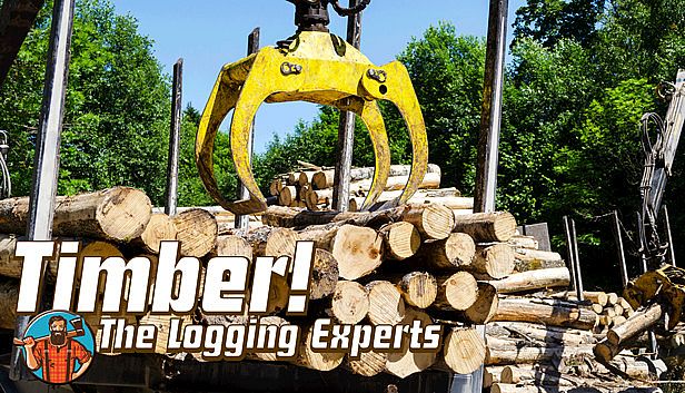 Buy Timber! The Logging Experts