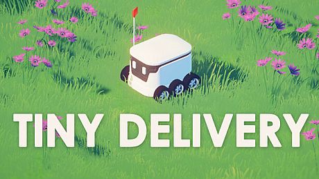 Tiny Delivery Game