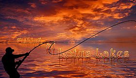 Fishing at Lotus Lakes