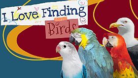 I Love Finding Birds