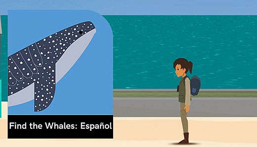 Find the Whales: Español