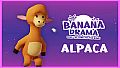 Banana Drama - Alpaca