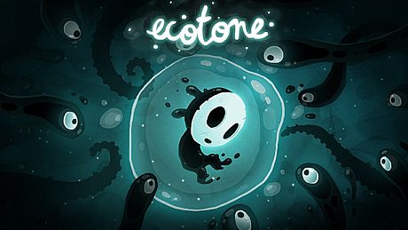 ecotone