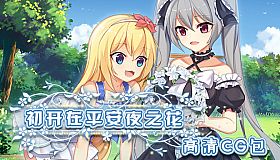 The Flower on Christmas Eve collection of background CG