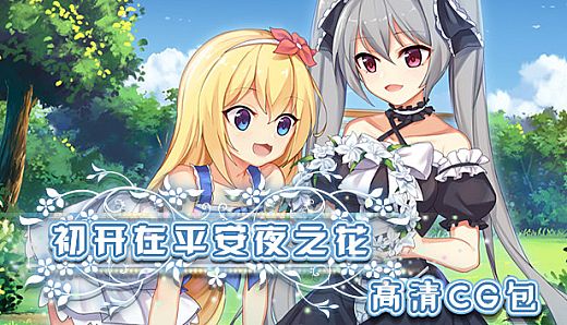 The Flower on Christmas Eve collection of background CG