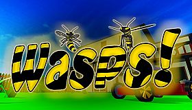 Wasps!