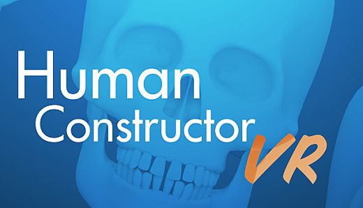 Human Constructor VR