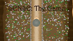 SENSE: The Game
