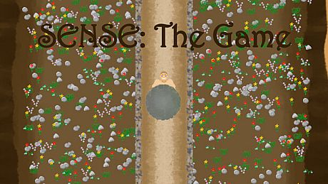 SENSE: The Game Game