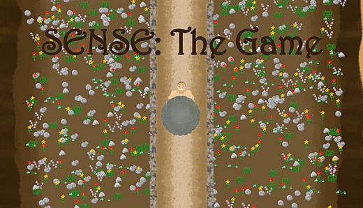 SENSE: The Game