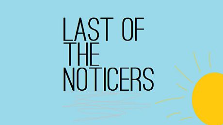 Last of the Noticers Game