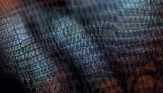 Turok 2: Seeds Of Evil