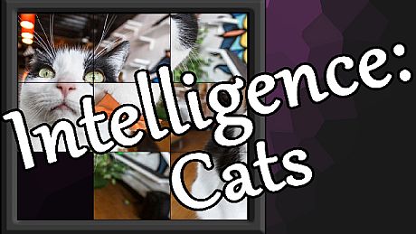 Intelligence: Cats - OST DLC