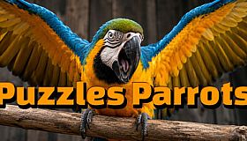 Puzzles Parrots