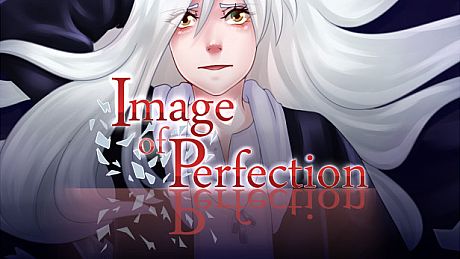 Image of Perfection Game