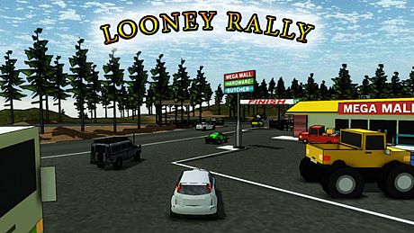 Looney Rally Game