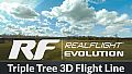 RealFlight Evolution - Triple Tree 3D Flight Line