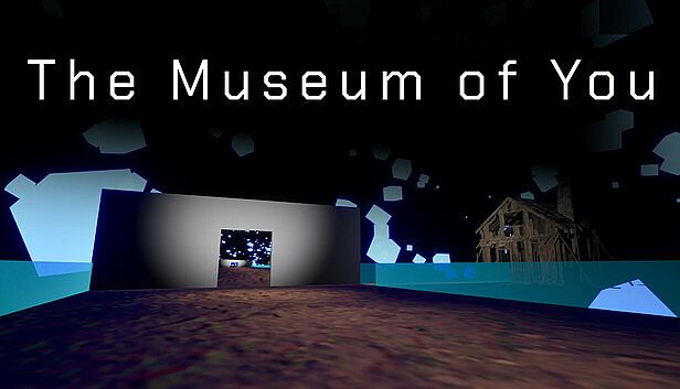 Buy The Museum of You
