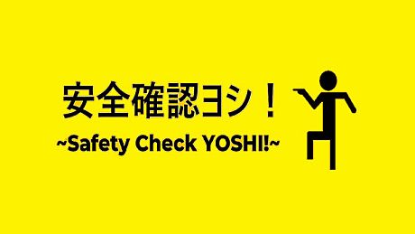Safety Check YOSHI! Game
