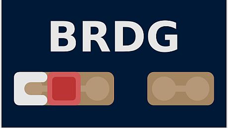 BRDG Game