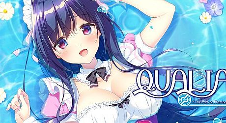 QUALIA ~The Path of Promise~ Game