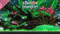 Joyquarium Soundtrack