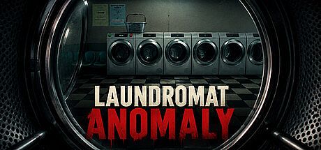 Laundromat Anomaly Game