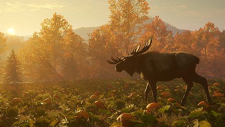 theHunter Call of the Wild - New England Mountains Bundle
