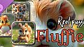 Real Jigsaw Puzzles - Kittens: Fluffies (Images)