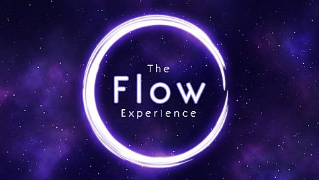 The Flow Experience Game