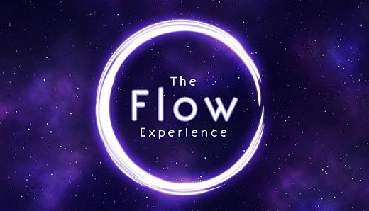 The Flow Experience