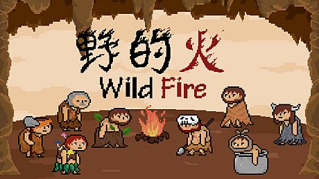 Wild Fire Game