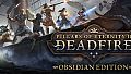 Pillars of Eternity II: Deadfire - Obsidian Edition