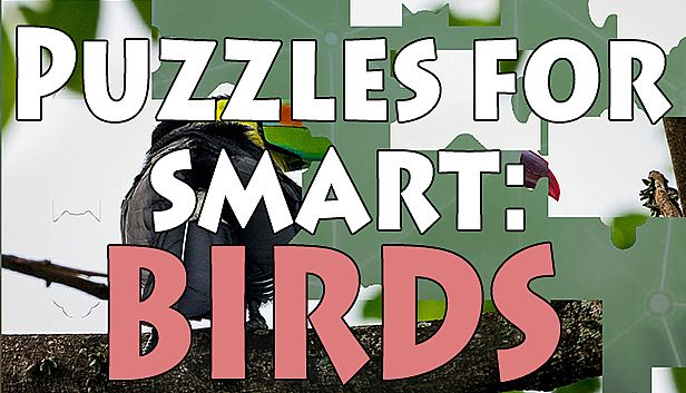 Buy Puzzles for smart: Birds