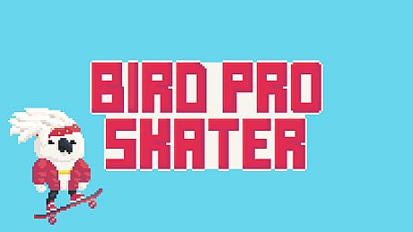 Bird Pro Skater Game