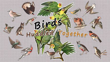 Birds Huddled Together Game