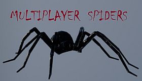 Multiplayer Spiders
