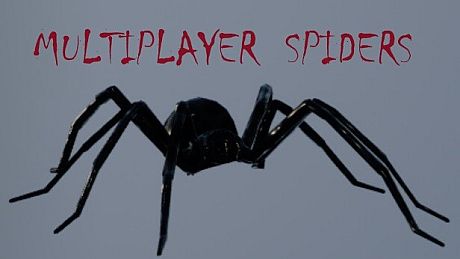 Multiplayer Spiders Game