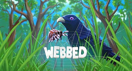Webbed Game