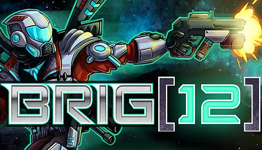 BRIG 12